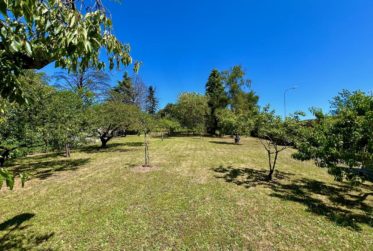 En exclusivité: Maison individuelle avec jardin de plus de 3000 m2
