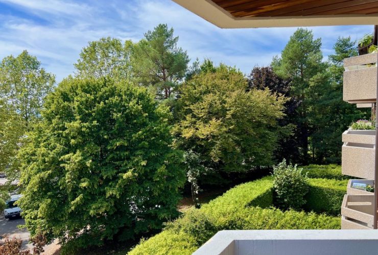 6 Rooms Flat, Flat with front and rear views