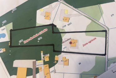 En Co-exclusivité: Spacieuse Maison familiale avec forêt attenante