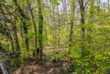 En Co-exclusivité: Spacieuse Maison familiale avec forêt attenante