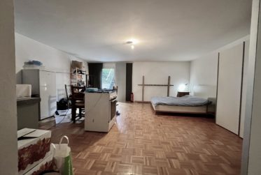 6 Rooms Flat, Apartment with garden