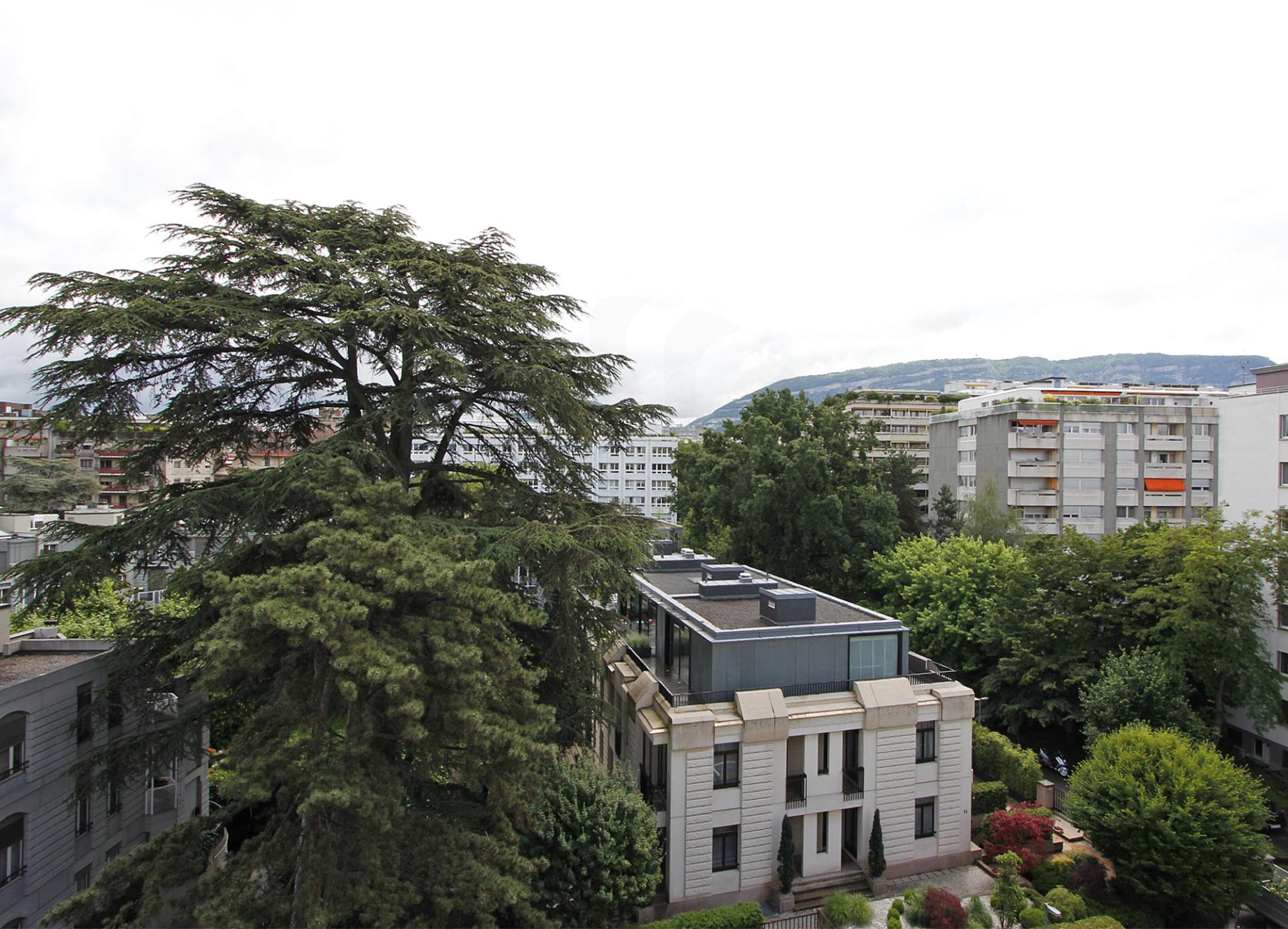 En exclusivité au Centre de Genève: Lumineux appartement traversant de 3.5 pièces au 6ème étage avec grands balcons
