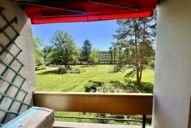 En exclusivité: Lumineux appartement familial de 5 pièces à la Gradelle